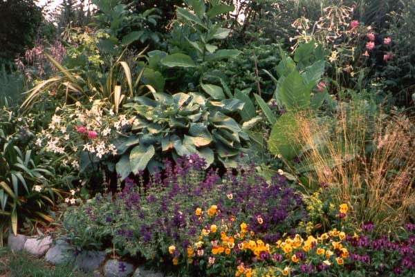 lots of contrast of foliage and form