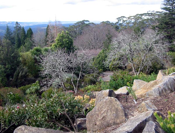  Now I want a sloping rockery. 