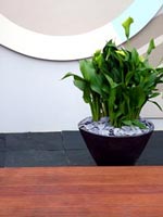 patio-lilies-planter