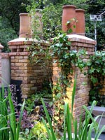 roof-top-garden