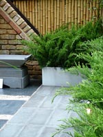 stone-paving-bamboo-fence