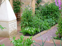 trellis-plants-stone