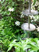 water-feature-foliage-flower