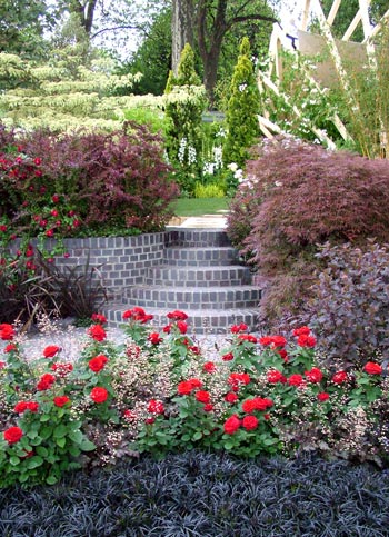  A beautiful view up from the darkness in to the light area of a garden. 