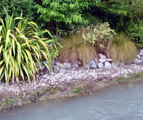  It's hard to keep this area weed free without spraying. 