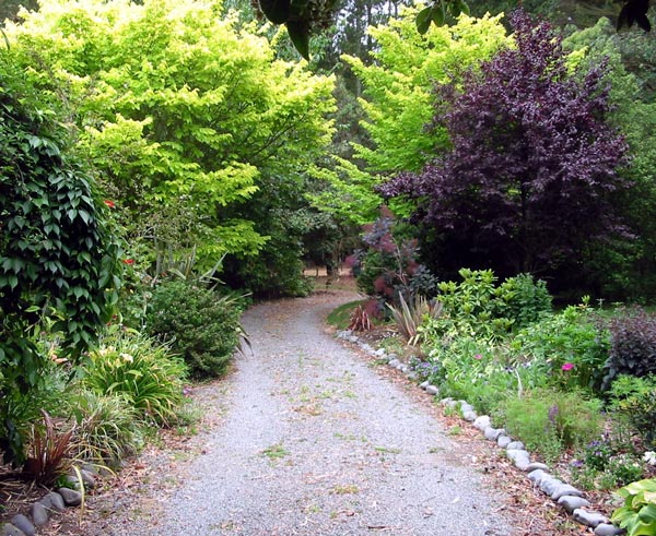  The new garden is recently planted in this photograph. 