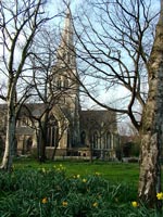 churchyard-spring-flowers