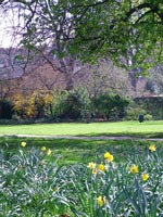 spring-church-yard