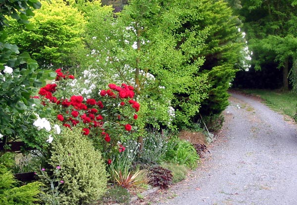  Red and white - a great pair. 