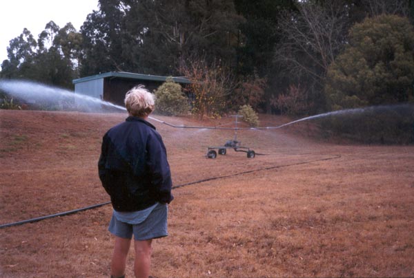  I couldn't garden here successfully without some form of irrigation. 