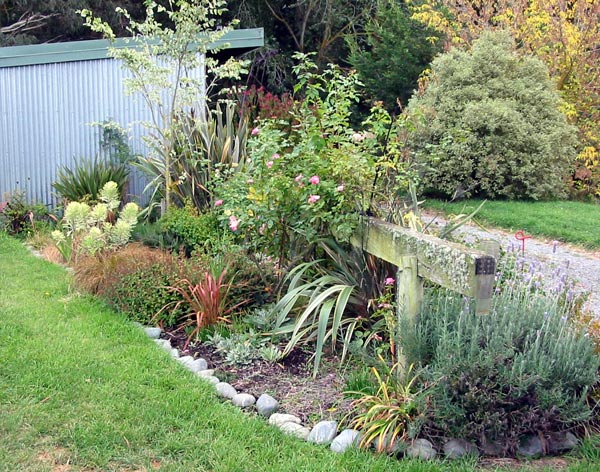  The small flax is called Phormium Jester. 