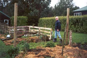  This photo was taken mid winter when the new rose garden was first being planted. 