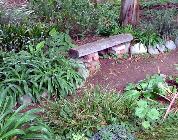  Surrounded by green foliage. 