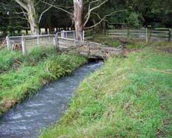  The water in the race comes from the mountains via the Waimakariri River. It's cold! 