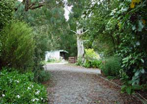  The Fernery, when it's finally organised, will be on the right of the driveway. 