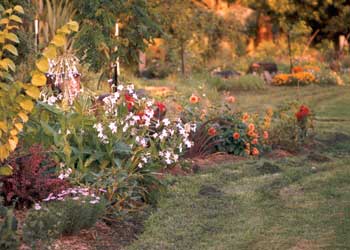  The plantings in Middle Border are starting to mature. 