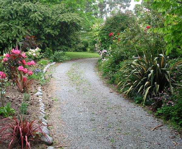  The new rhodos are filling out nicely in here. 