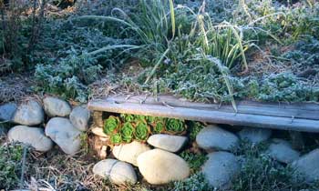  The succulents under the seat are sheltered from the cold. 