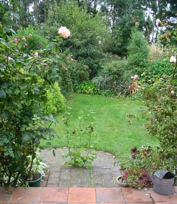  I love the brave self-sown Hollyhock which has placed itself in the middle of the steps. I haven't the heart to chop it down. 