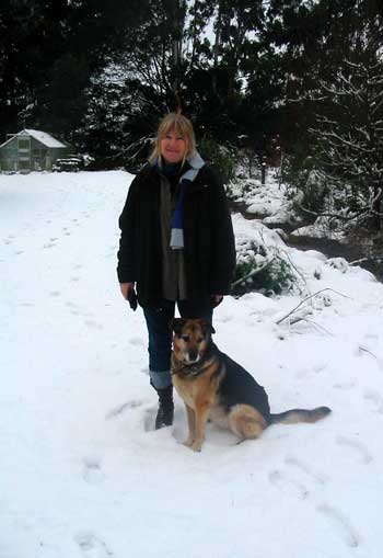  Taj-dog doesn't seem to mind sitting in the snow. Dogs are strange. 