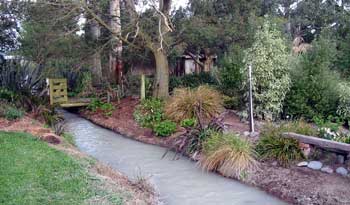  I love the foliage contrasts in this garden. 