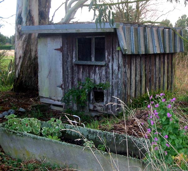  This is one of the most peaceful spots in the garden. 