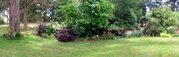  This is the view from the house decking towards the pond paddock. 