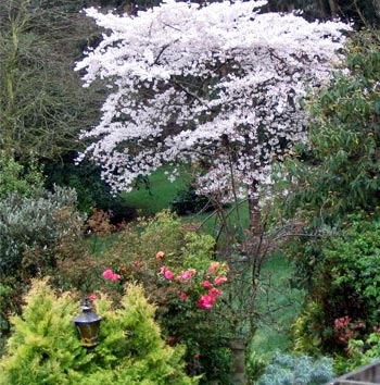  A view from the upstairs of the house. 