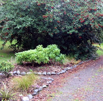  The driveway Border is cleared for winter. 