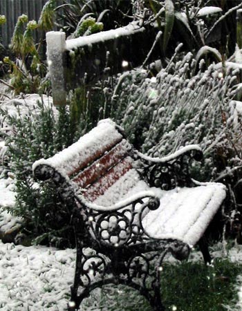  Eek! It all looks very grey and cold - - an uninviting garden seat at the moment! 