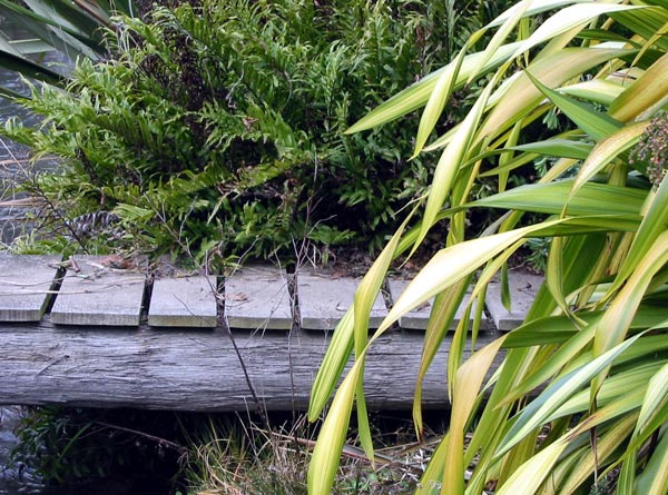  The bridge has wooden planks laid on two old wooden power poles. 