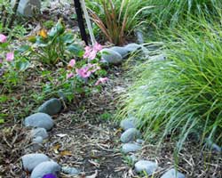  Edged with Waimakariri river stone. 