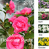 2018 Flowering Shrubs Calendar