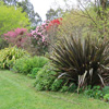 More weeding...
