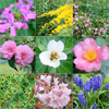 The colours of spring 2025...