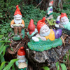 Gnomes in disarray!