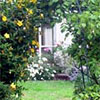 Crab-Apple Arch