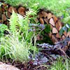 Log Pile Border