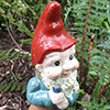 Gnome in the Pond!
