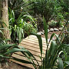 Footbridges in the Woods