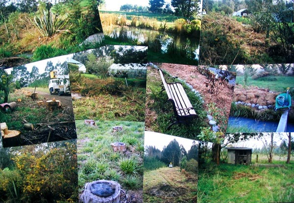  Stumps, gorse, rough paddocks... 