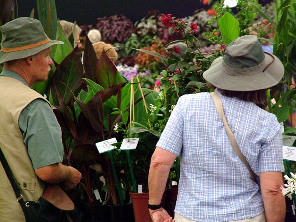  The RHS provided plant porters and wheelbarrows, this gardener brought a plant porter with her. 