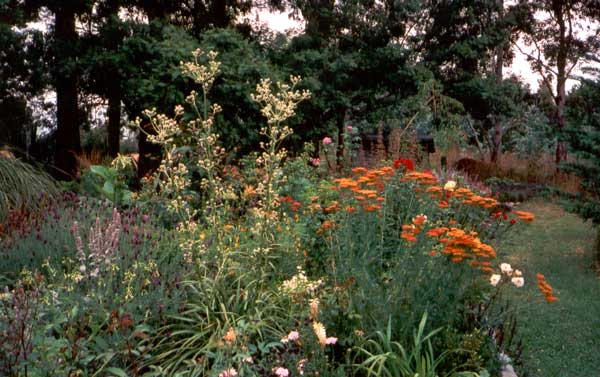  great garden colours 