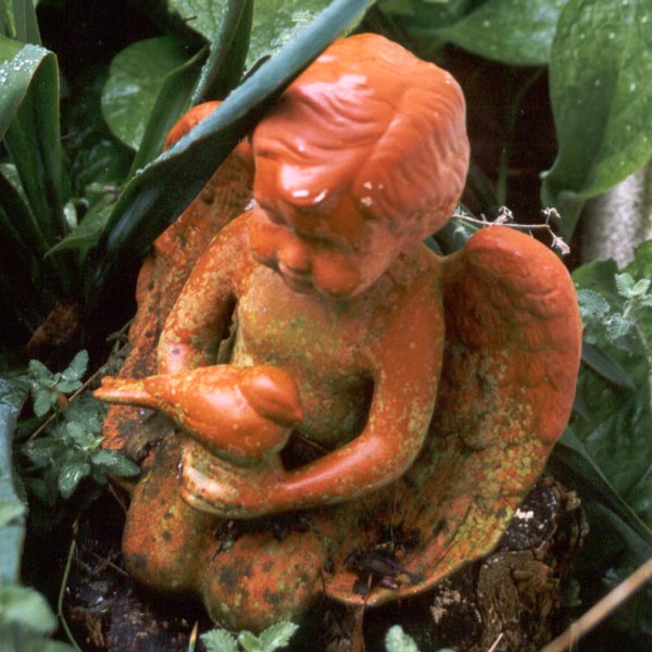  My Garden Angel is looking a little weather-beaten. 