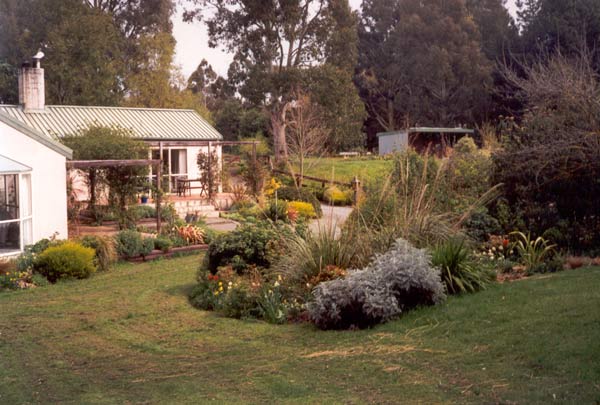  The Island Bed looks good when the lawns are mown. The house and patio garden is in the background 