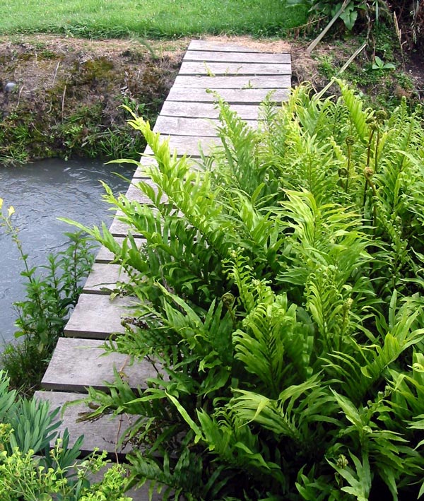  This bridge is now part of the main route to the Hazelnut Orchard paddock. 