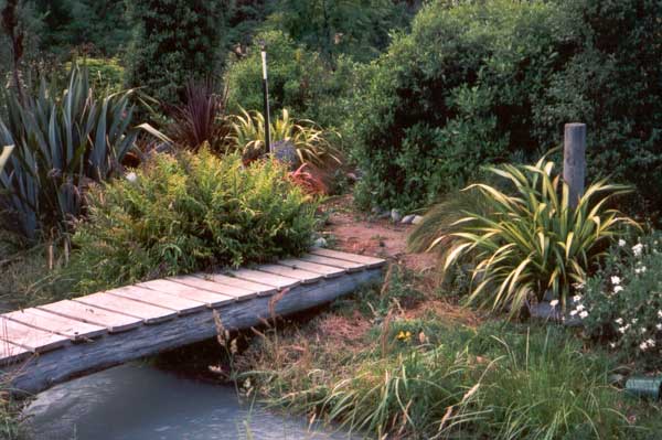  The flax to the right of Middle Bridge is Yellow Wave. 