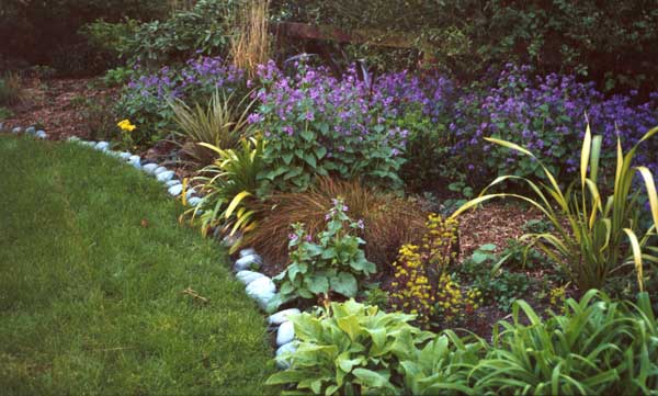  I grow the white flowering honesty too. 