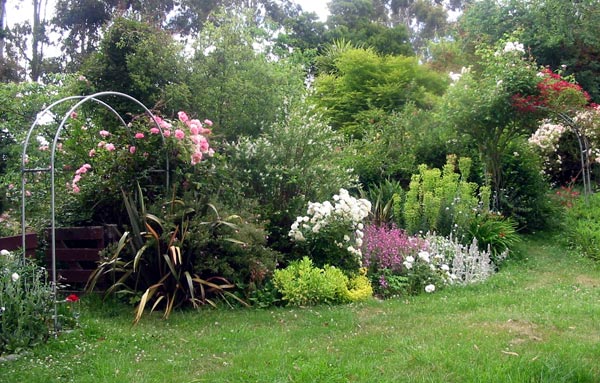  And some handsome perennials. 