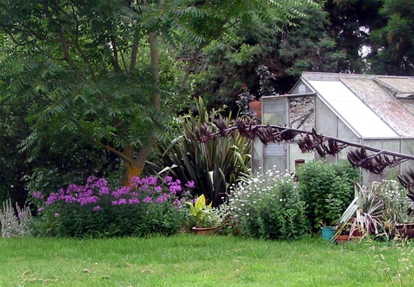  Roses and perennials enjoy this garden border too. 